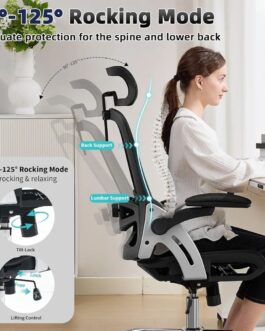 Best Fizzin Ergonomic Office Chair with 3D Armrests & Adjustable Lumbar Support
