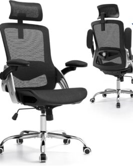 Best Fizzin Ergonomic Office Chair with 3D Armrests & Adjustable Lumbar Support