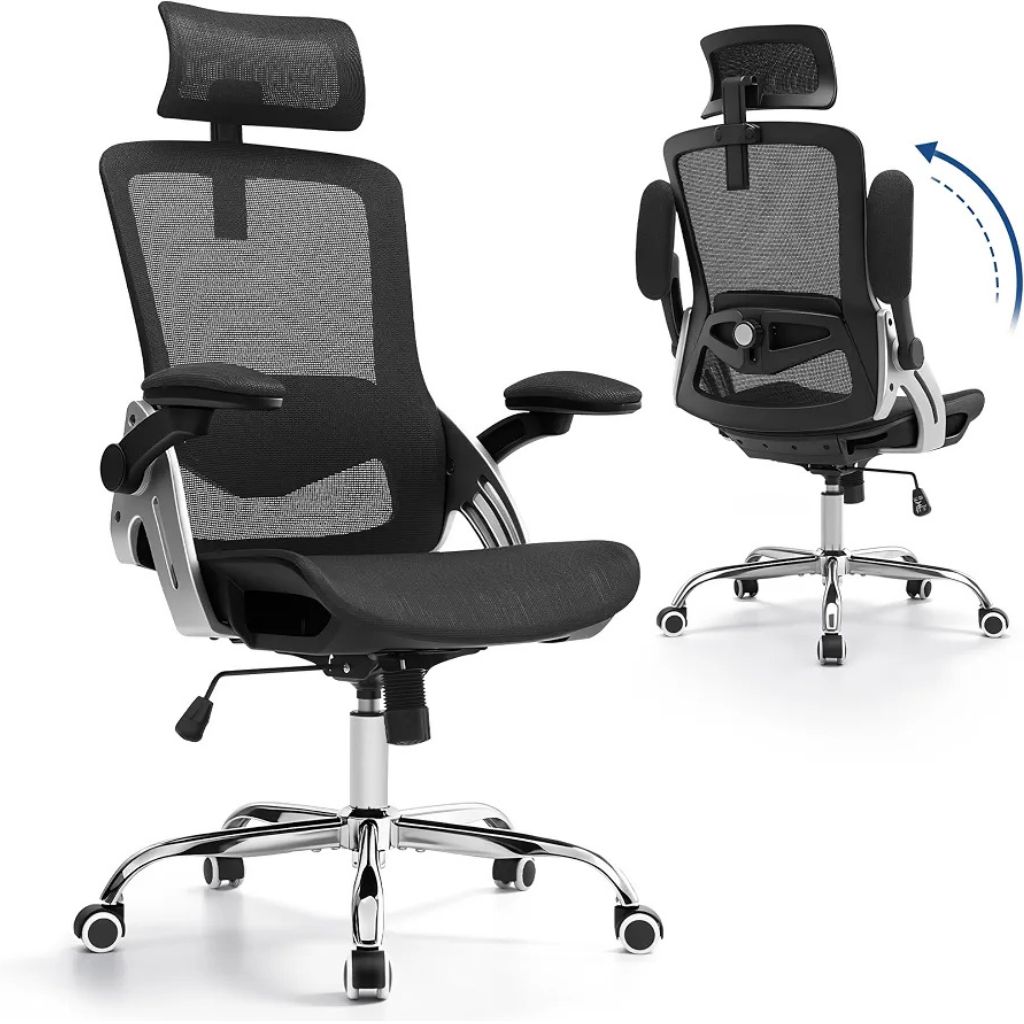 Best Fizzin Ergonomic Office Chair with 3D Armrests & Adjustable Lumbar Support